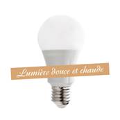 Ampoule SMD LED 10W>80W Lumière douce et chaude