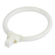 Ampoules de rechange Ampoule pour la lampe loupe 210002 & 210029