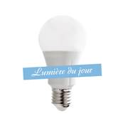 Ampoule SMD LED 10W>80W Lumière du jour 
