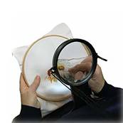Loupe de broderie éclairante