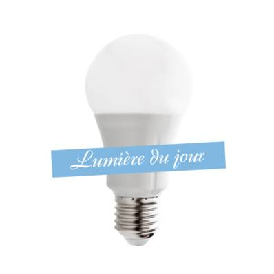 Ampoule SMD LED 12W>100W Lumière du jour